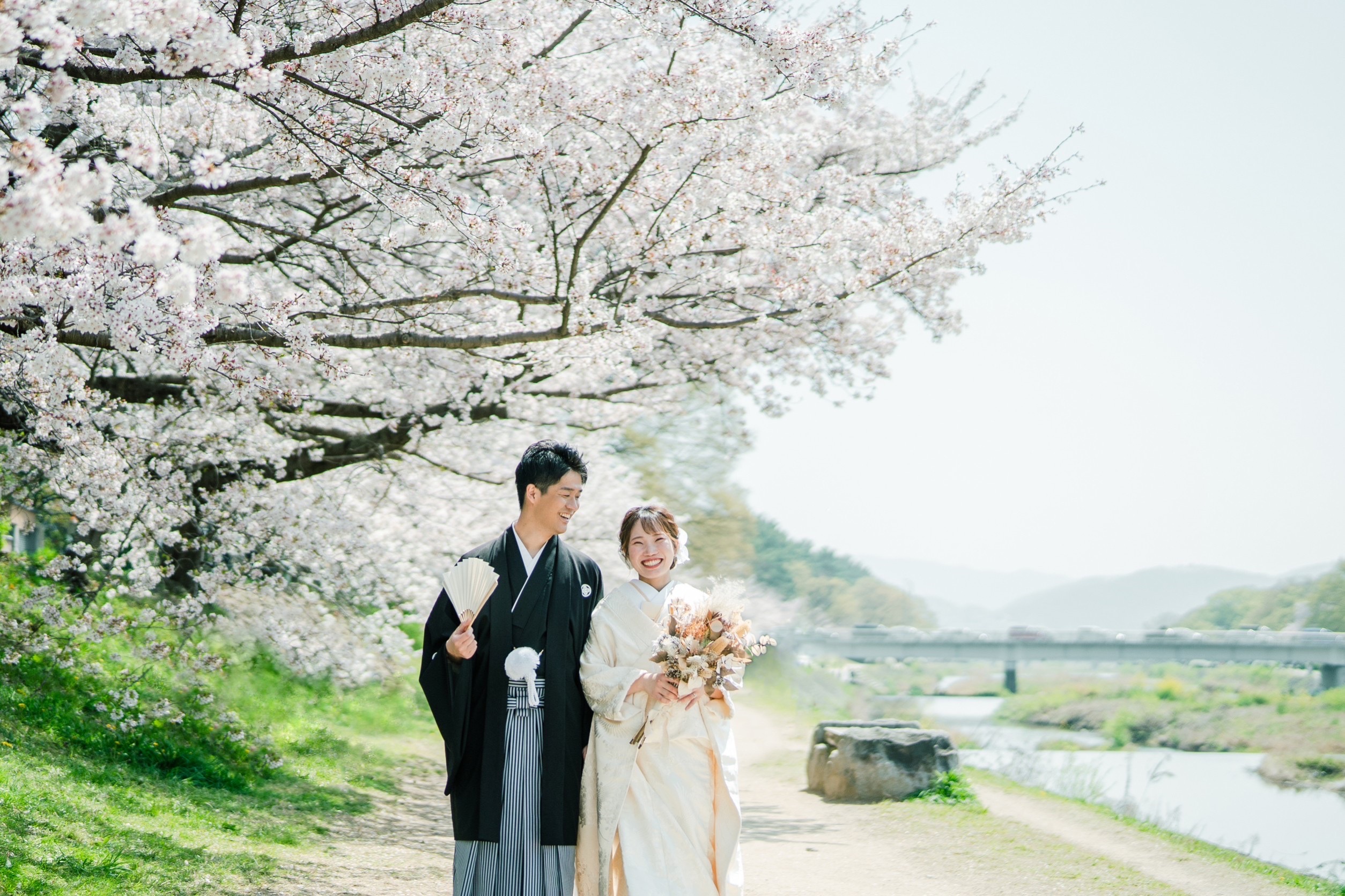 賀茂川で桜前撮り・和装事例