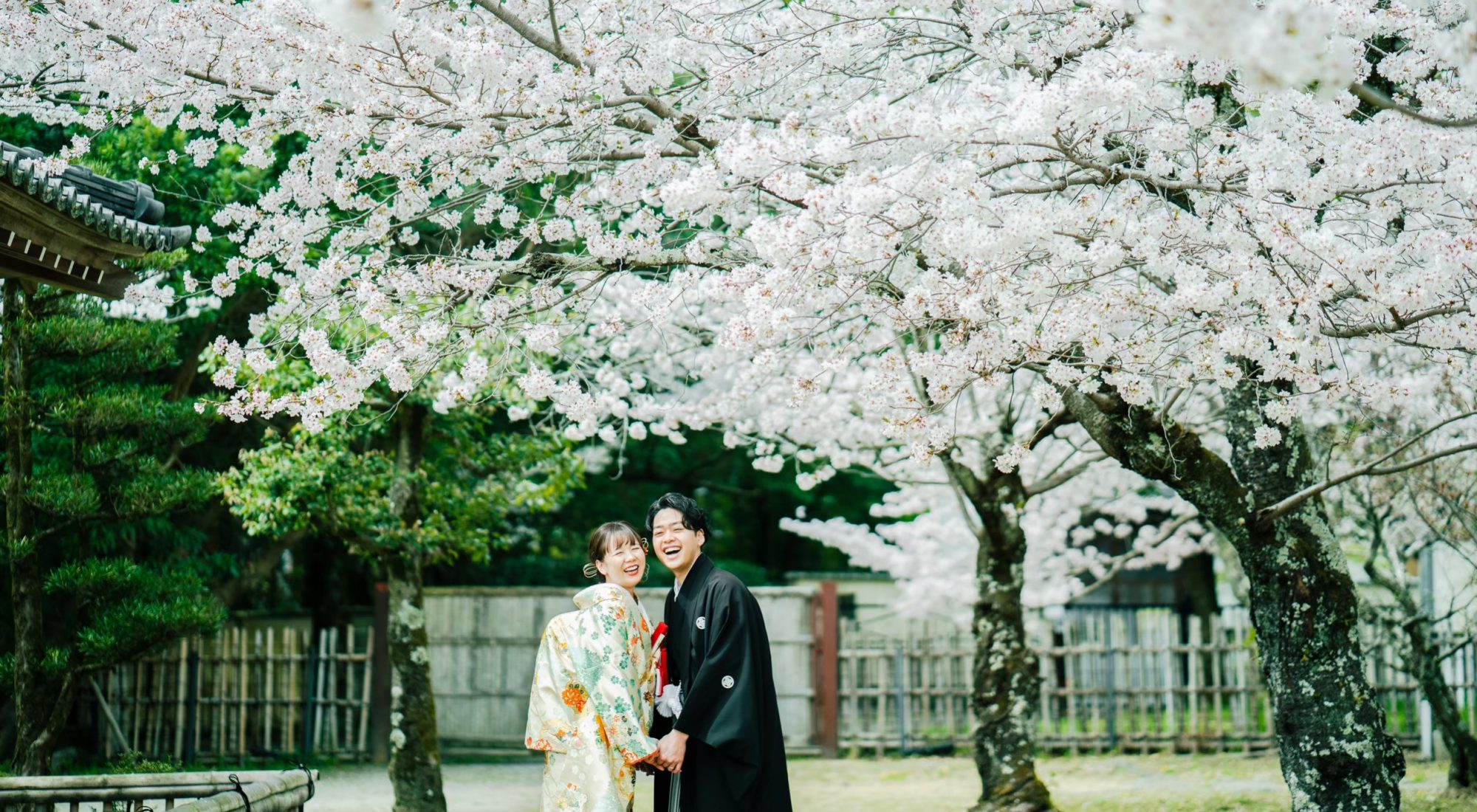 桜の季節・大覚寺前撮り事例