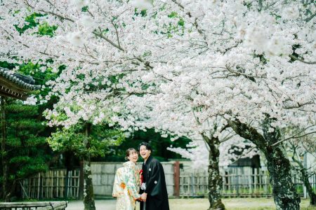 桜の季節・大覚寺前撮り事例