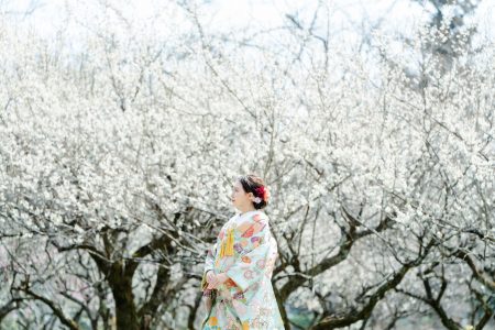 梅の大覚寺と花嫁（色打掛姿）