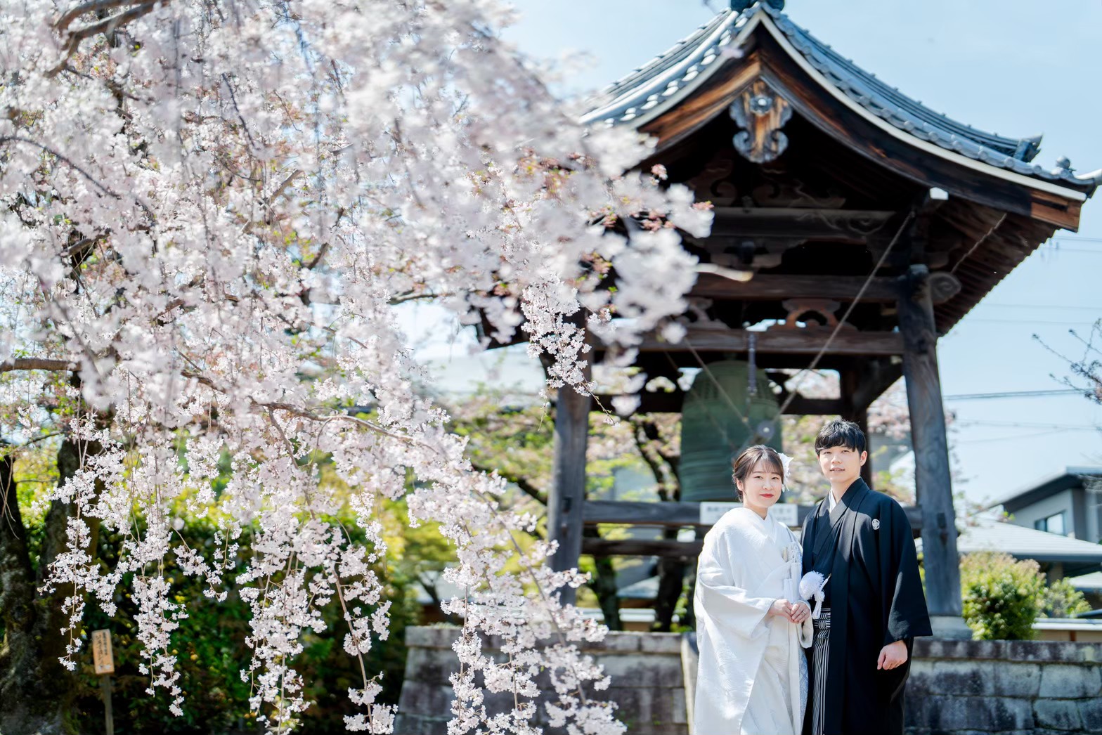 妙顕寺での和装前撮り例、桜