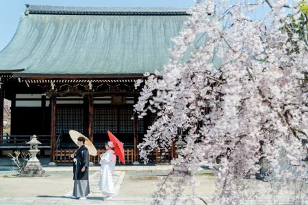 妙顕寺での和装前撮り例、桜