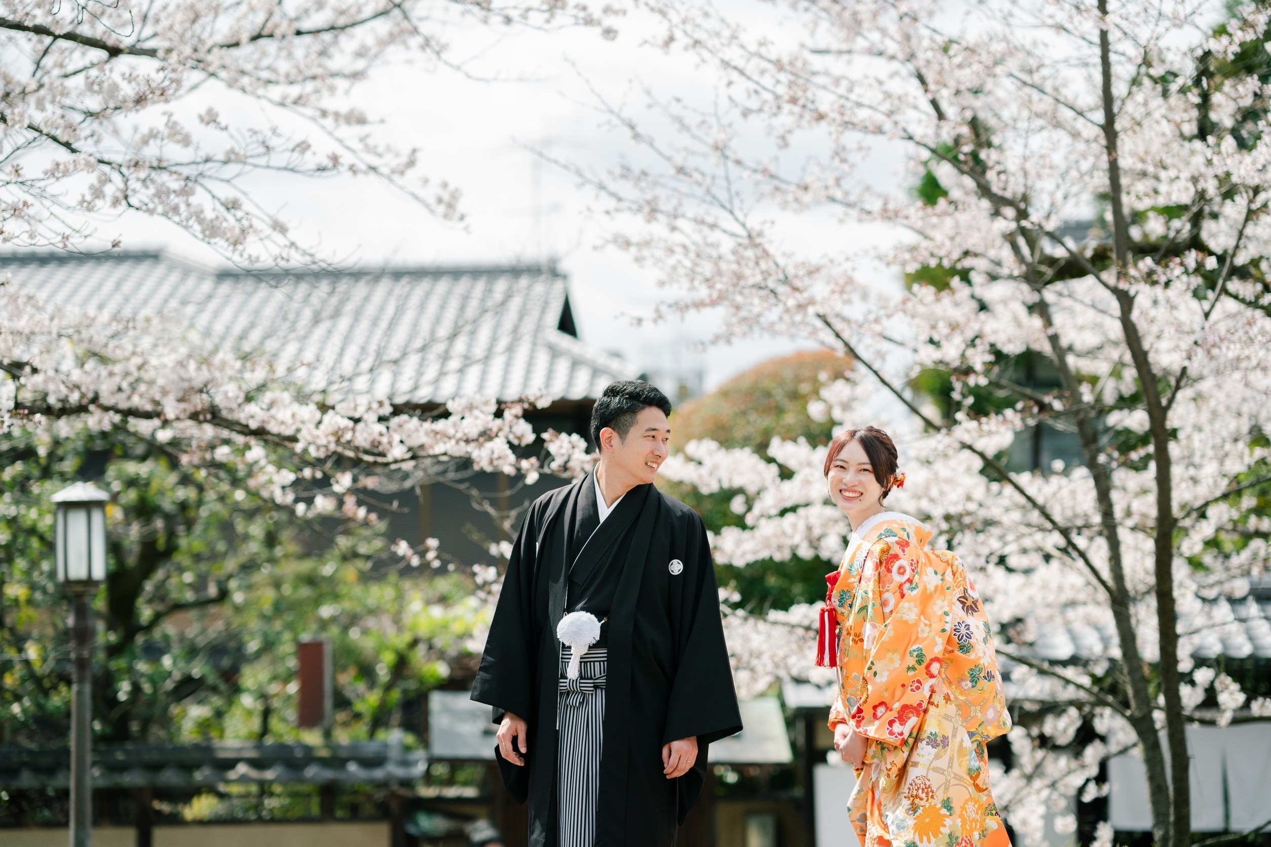 桜前撮り（東山界隈）