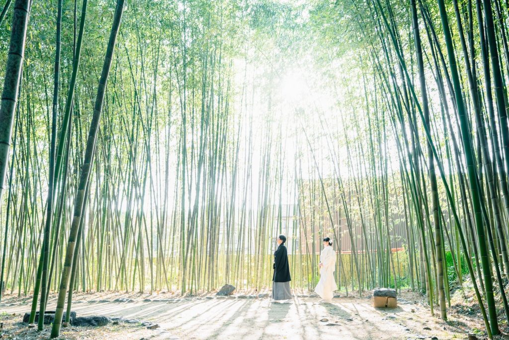 大覚寺前撮り「竹林」
