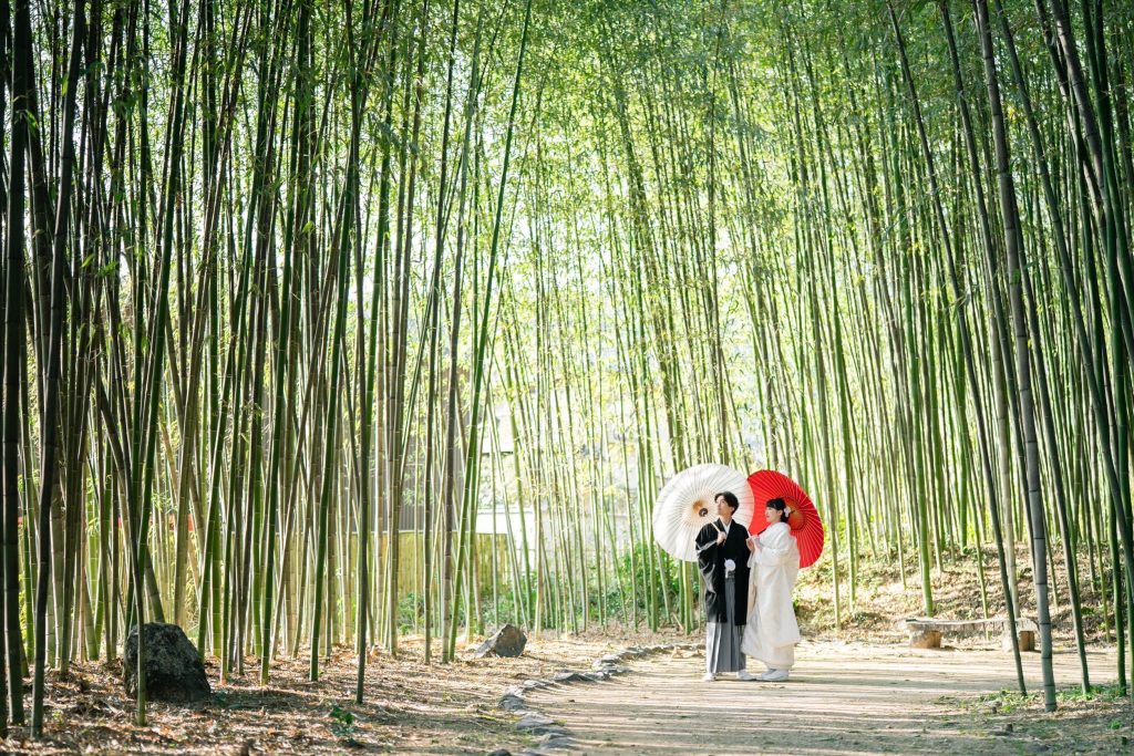 大覚寺前撮り「竹林」