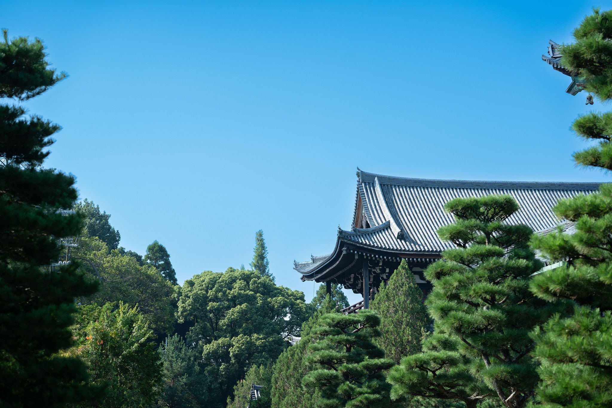青空の東福寺