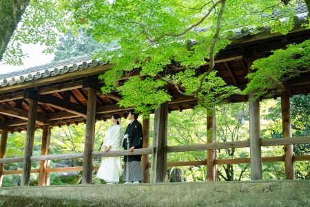 東福寺９月の白無垢前撮りイメージ