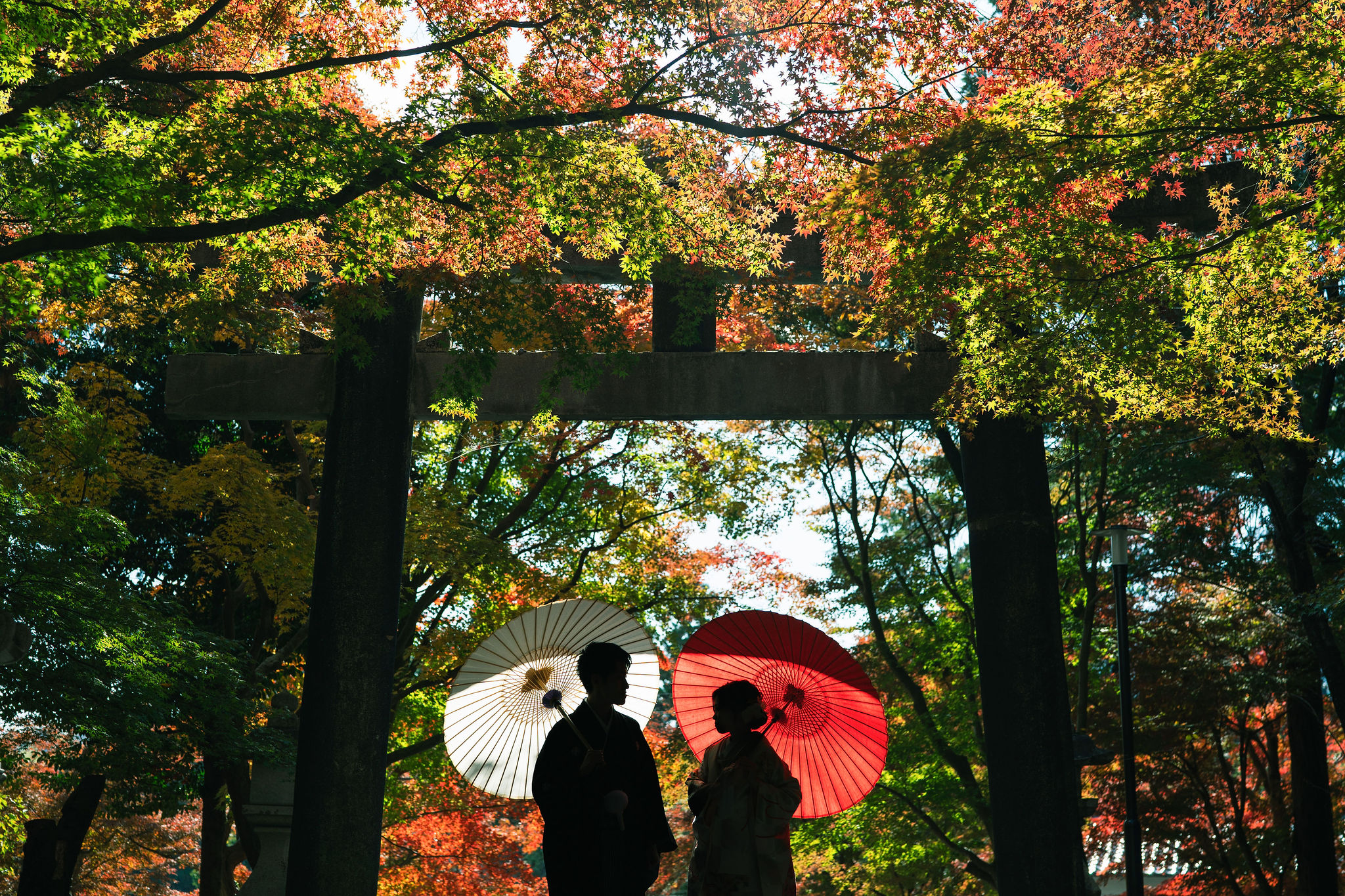 紅葉の大原野神社で和装撮影イメージ