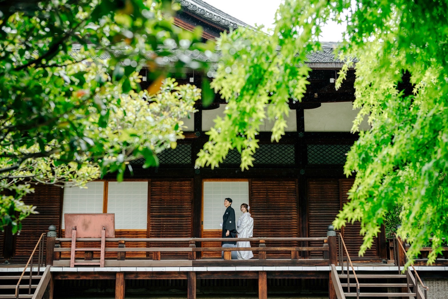 金戒光明寺、夏のフォトウェディング