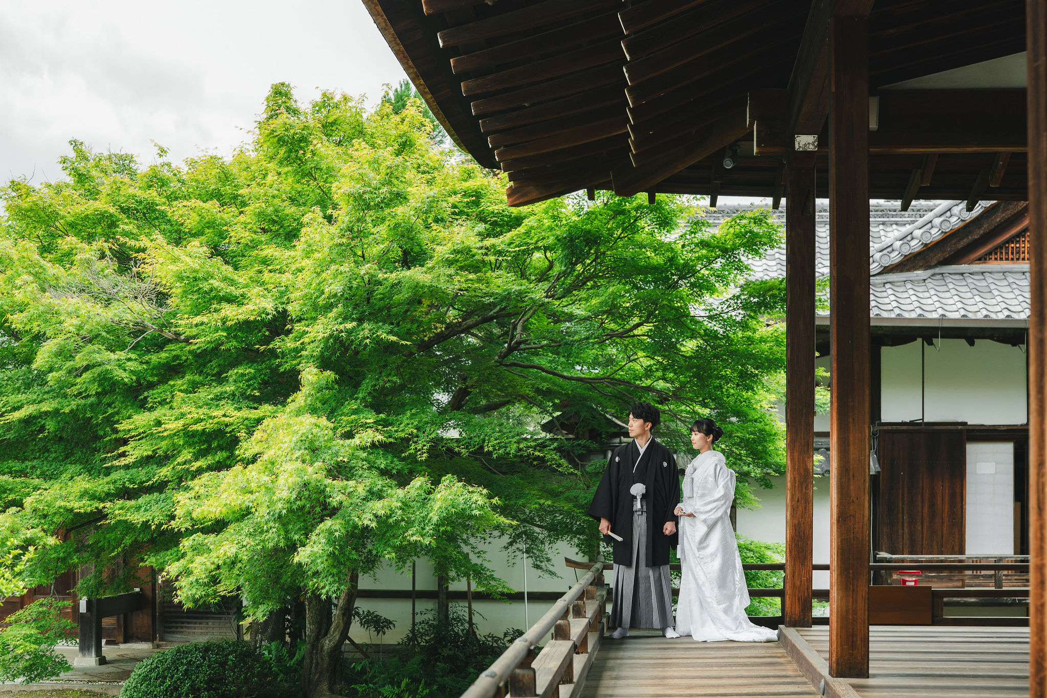 新緑シーズンの大覚寺｜白無垢前撮り