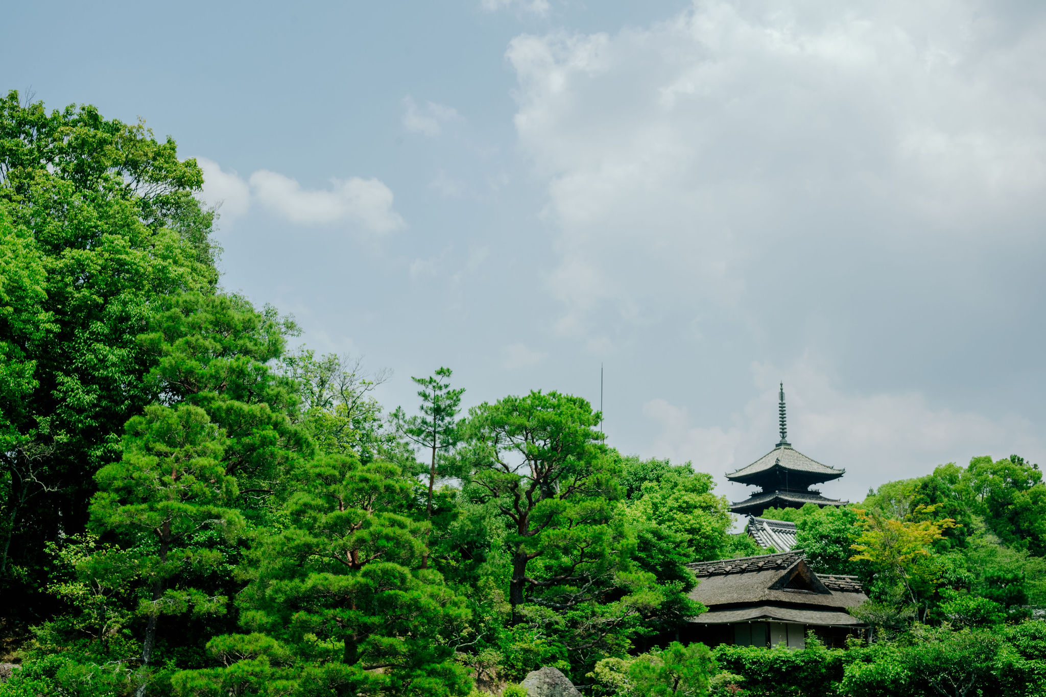 仁和寺の風景