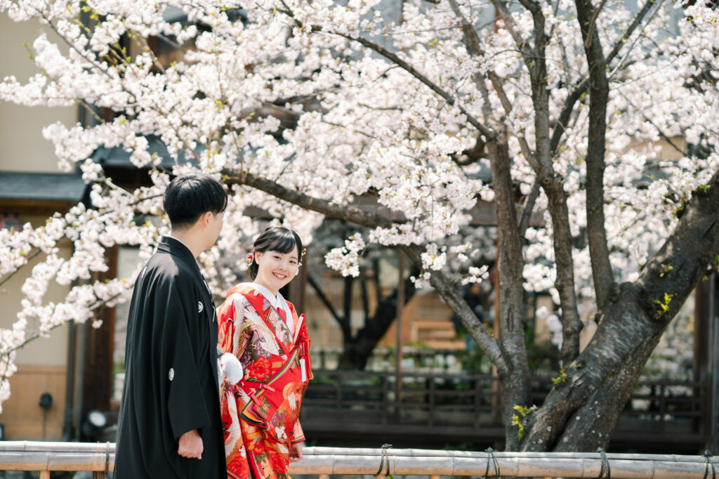 桜前撮り「京都の祇園白川」歩いている自然なシーン（和装）