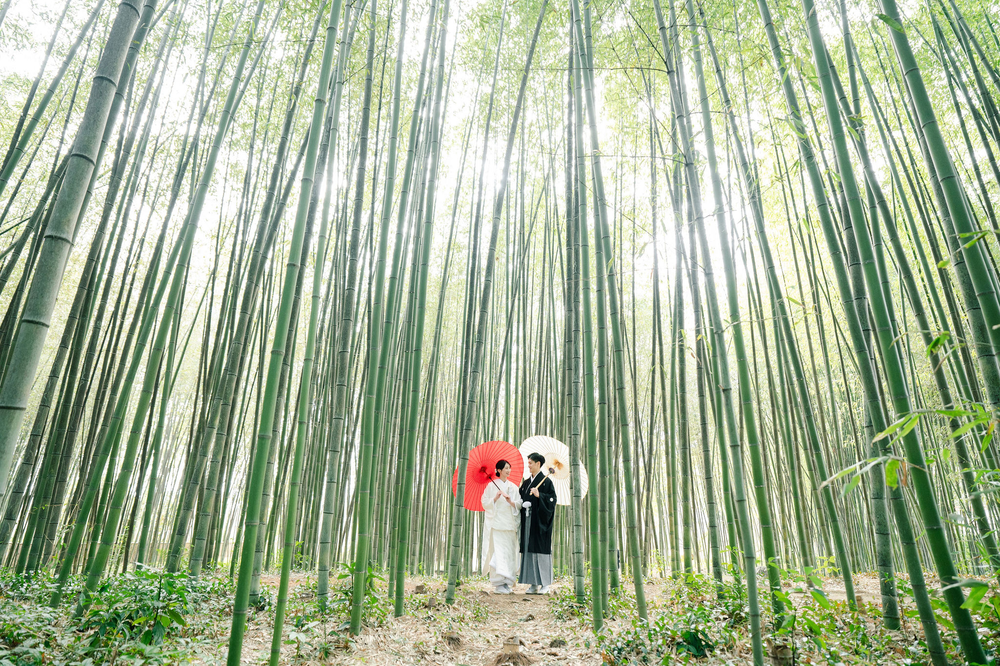 冬の大覚寺前撮りイメージ（白無垢姿）