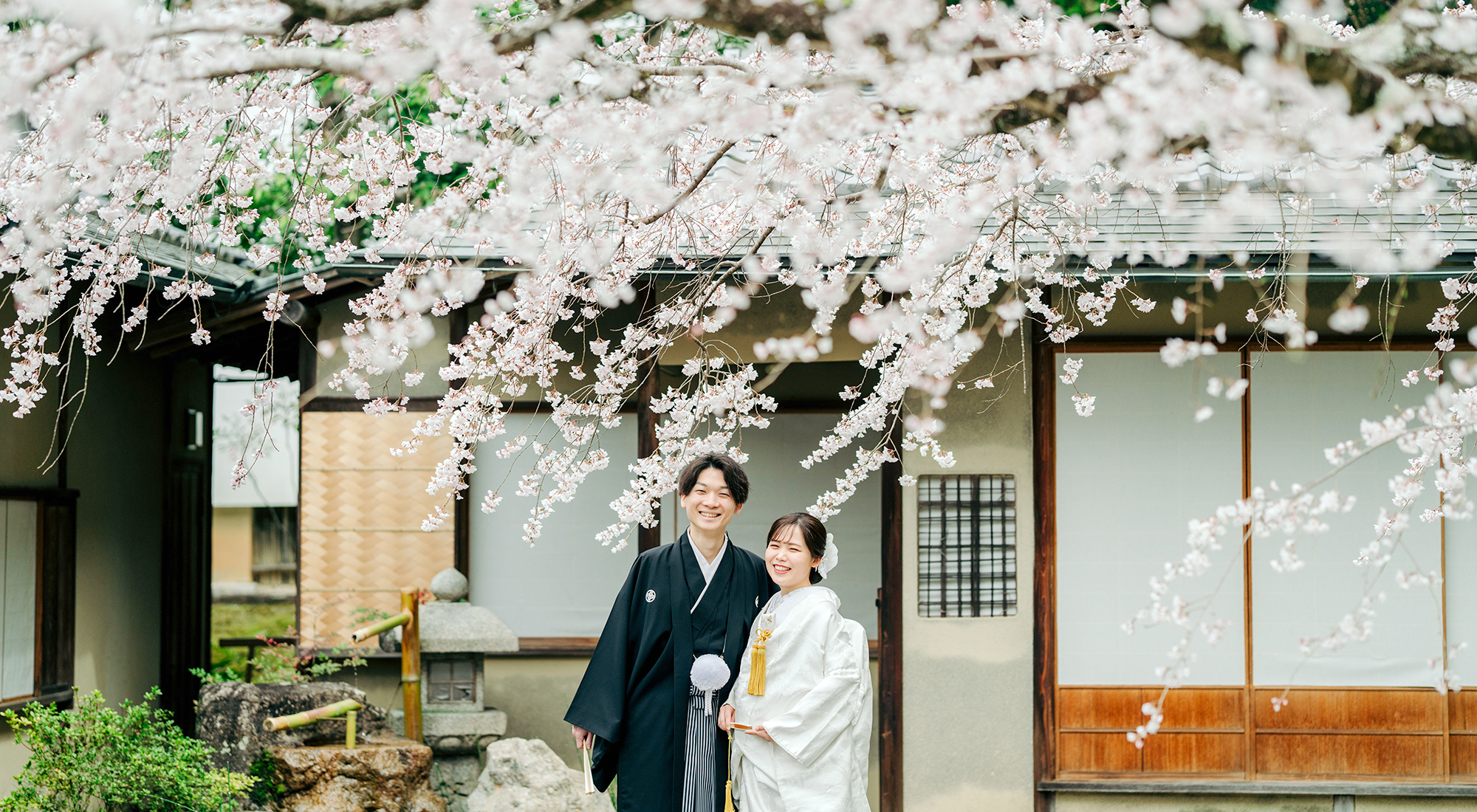京都の金戒光明寺で桜前撮りイメージバナー