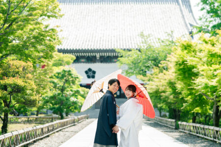 新緑の智積院、参道