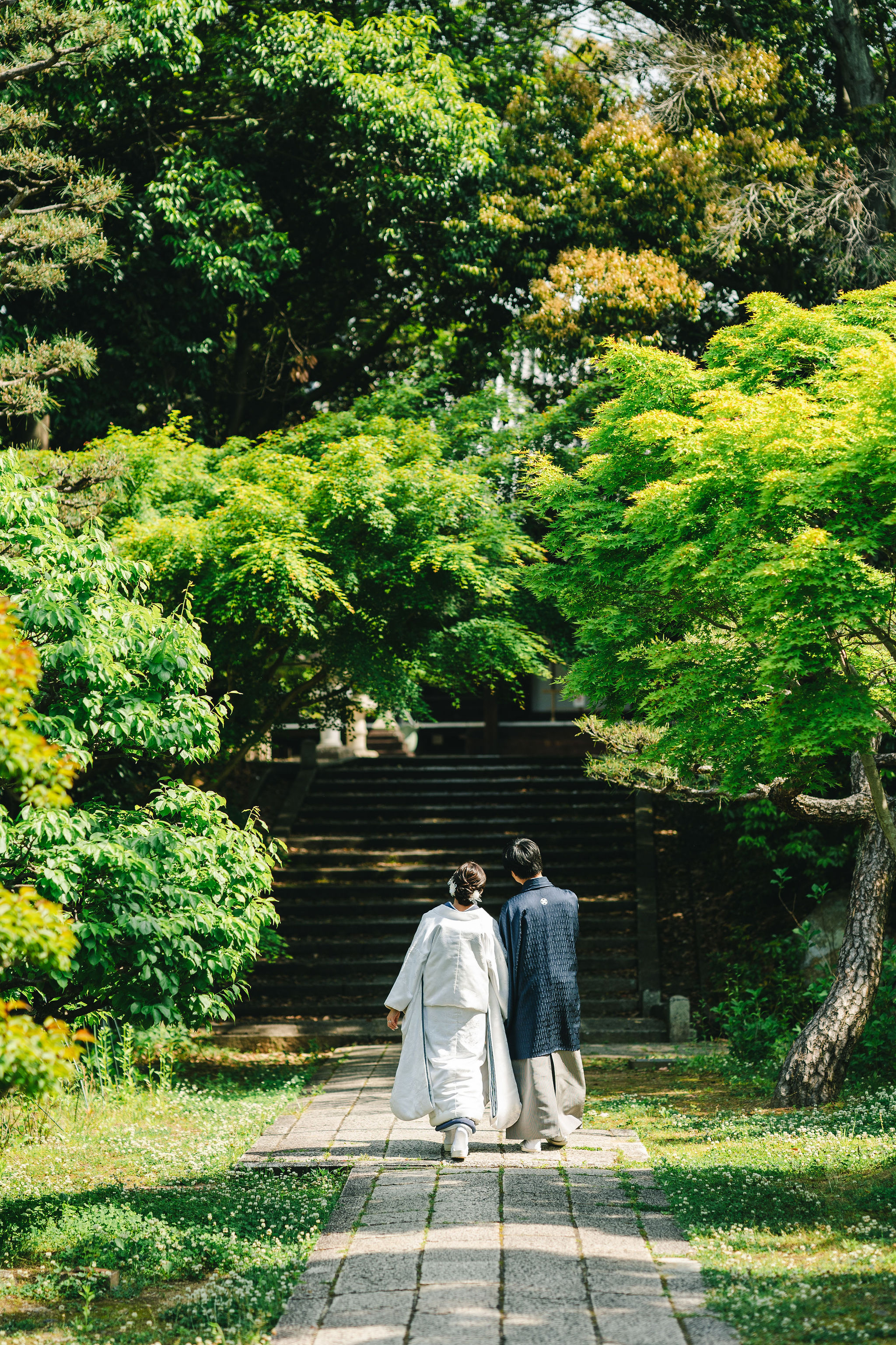 新緑の季節、青葉のきれいな智積院で和装前撮り(歩いているシーン)