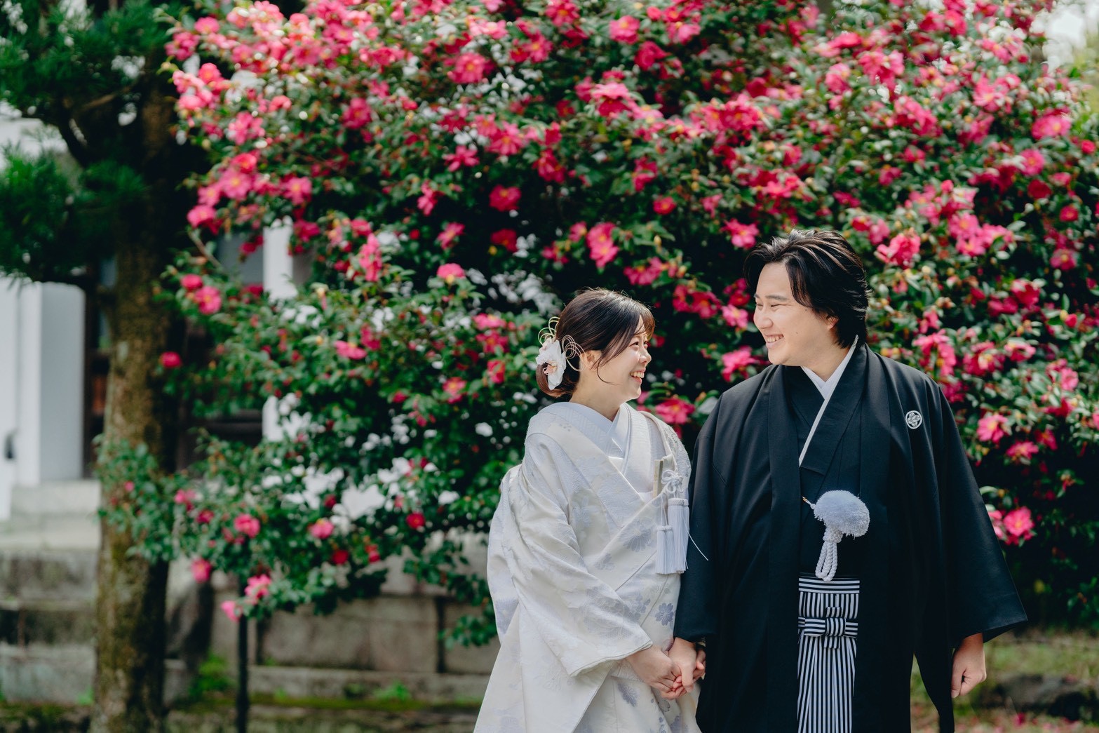 京都の本法寺撮影（和装前撮り）