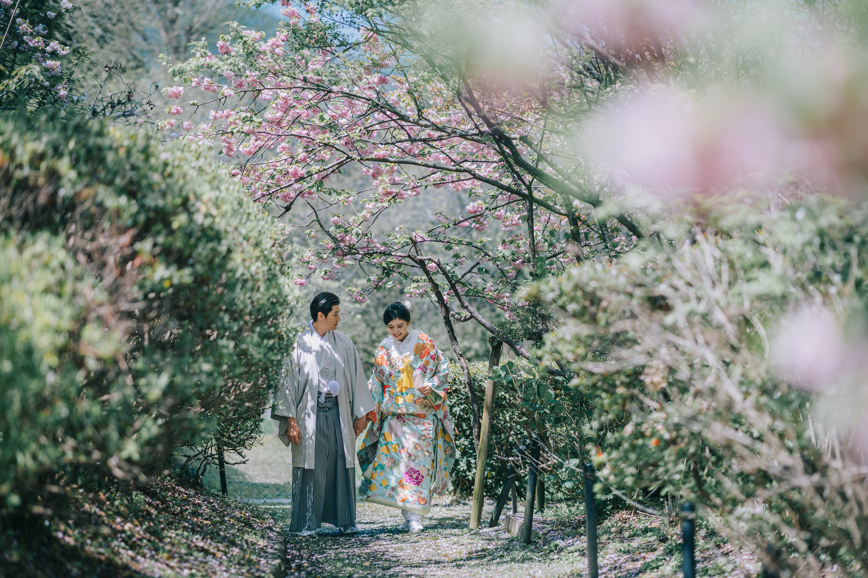 八重桜の綺麗な梅宮大社で、和装前撮り