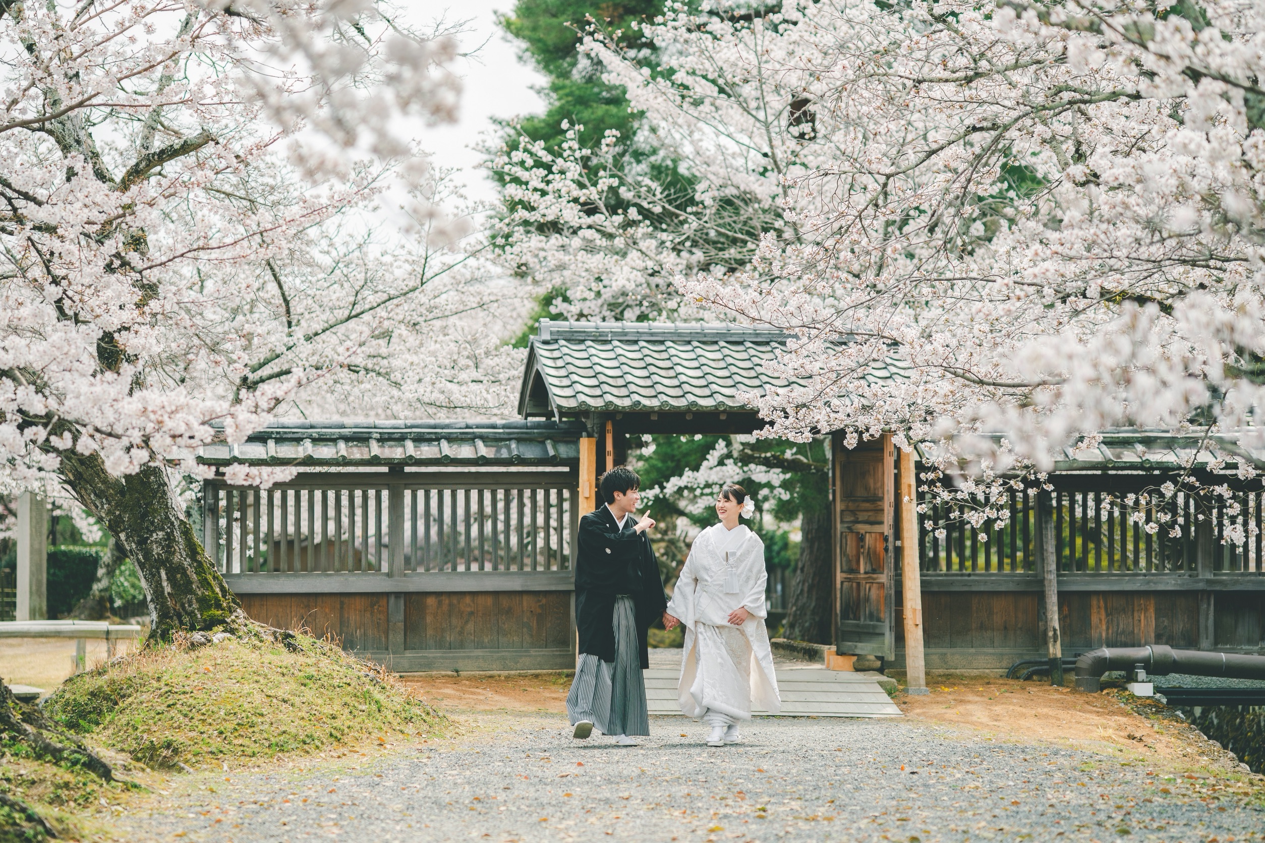 京都 前撮り 桜 和装 白無垢 ロケーション撮影 門前