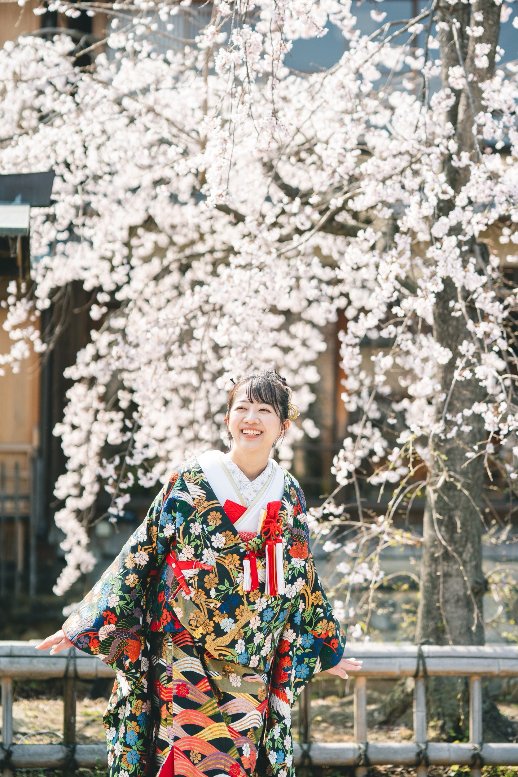 京都 前撮り 桜 色打掛 和装 花嫁 ソロ撮影