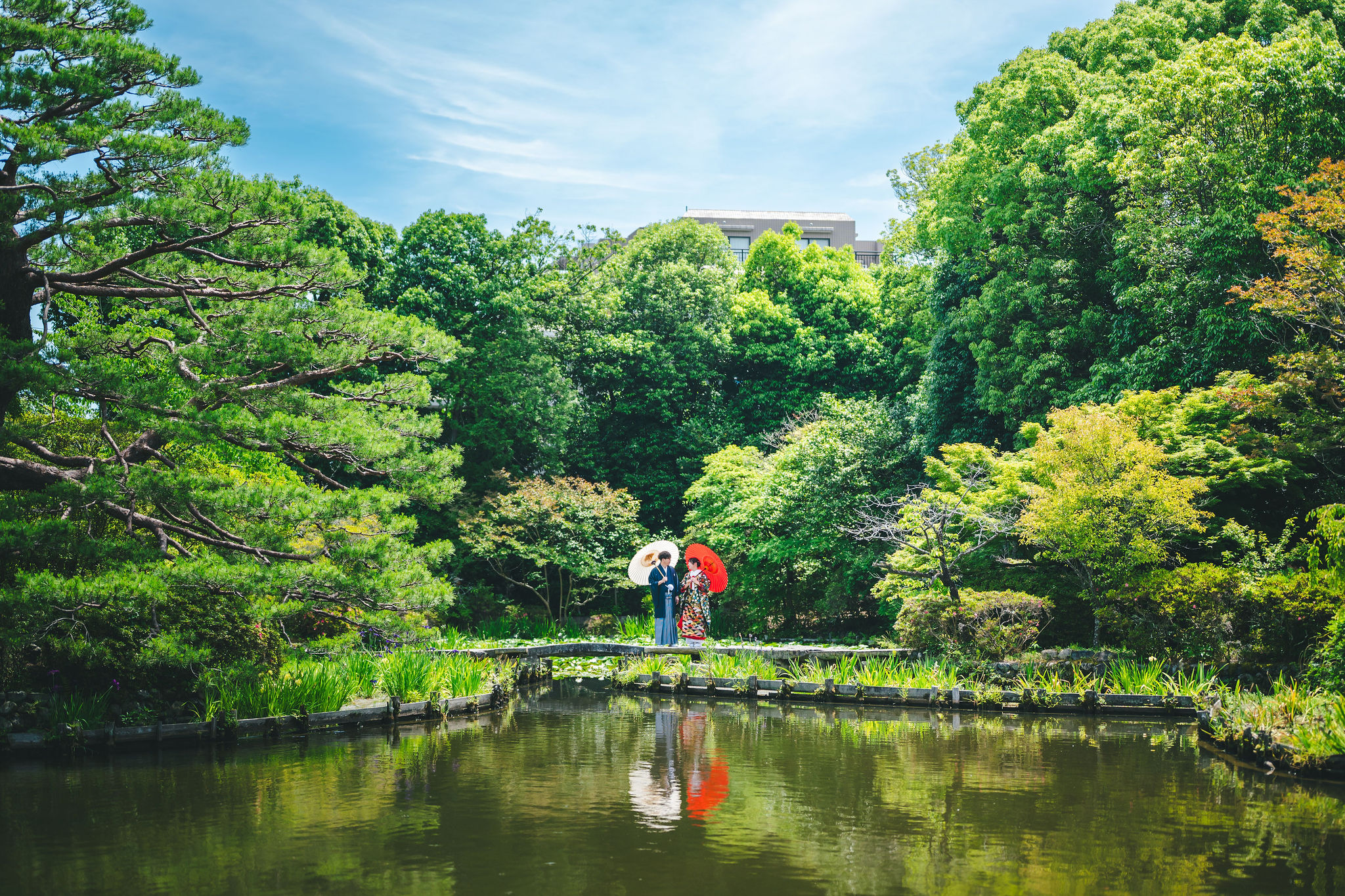 新緑の神苑と池の景色の中で撮影する和装前撮り