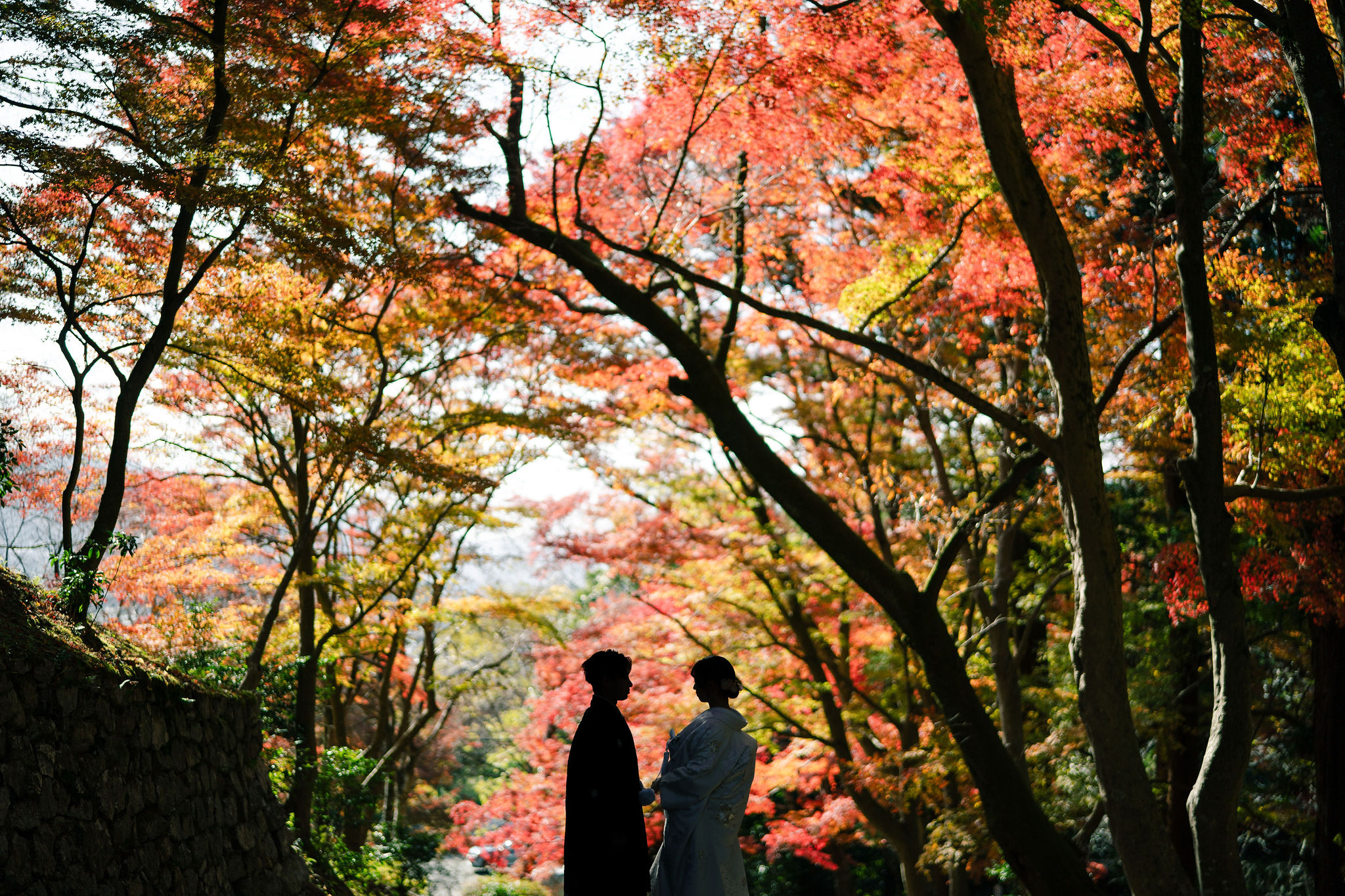 秋の毘沙門堂、紅葉前撮り「シルエット写真」