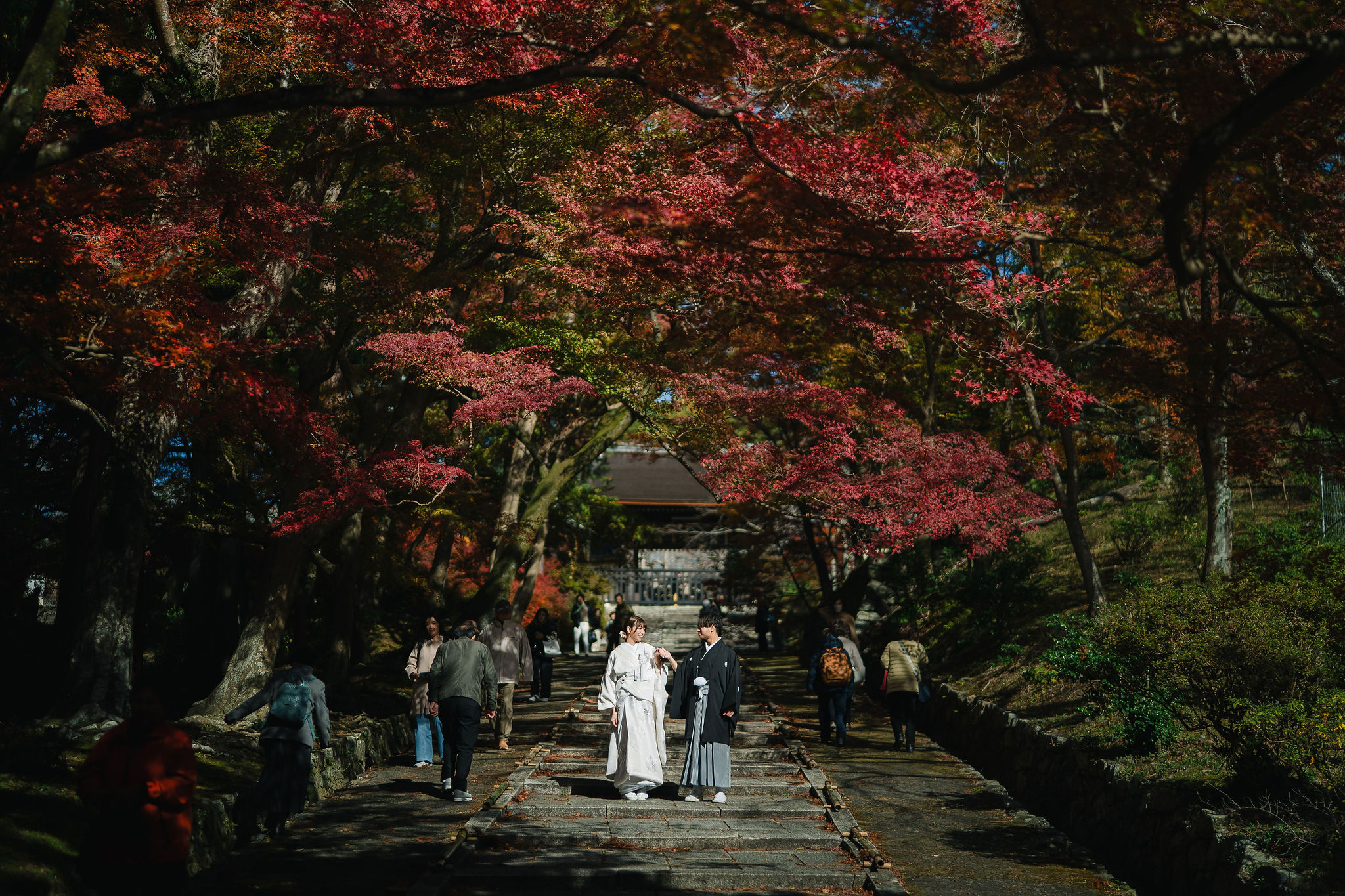 秋の毘沙門堂、紅葉前撮り「人が多い階段部分」