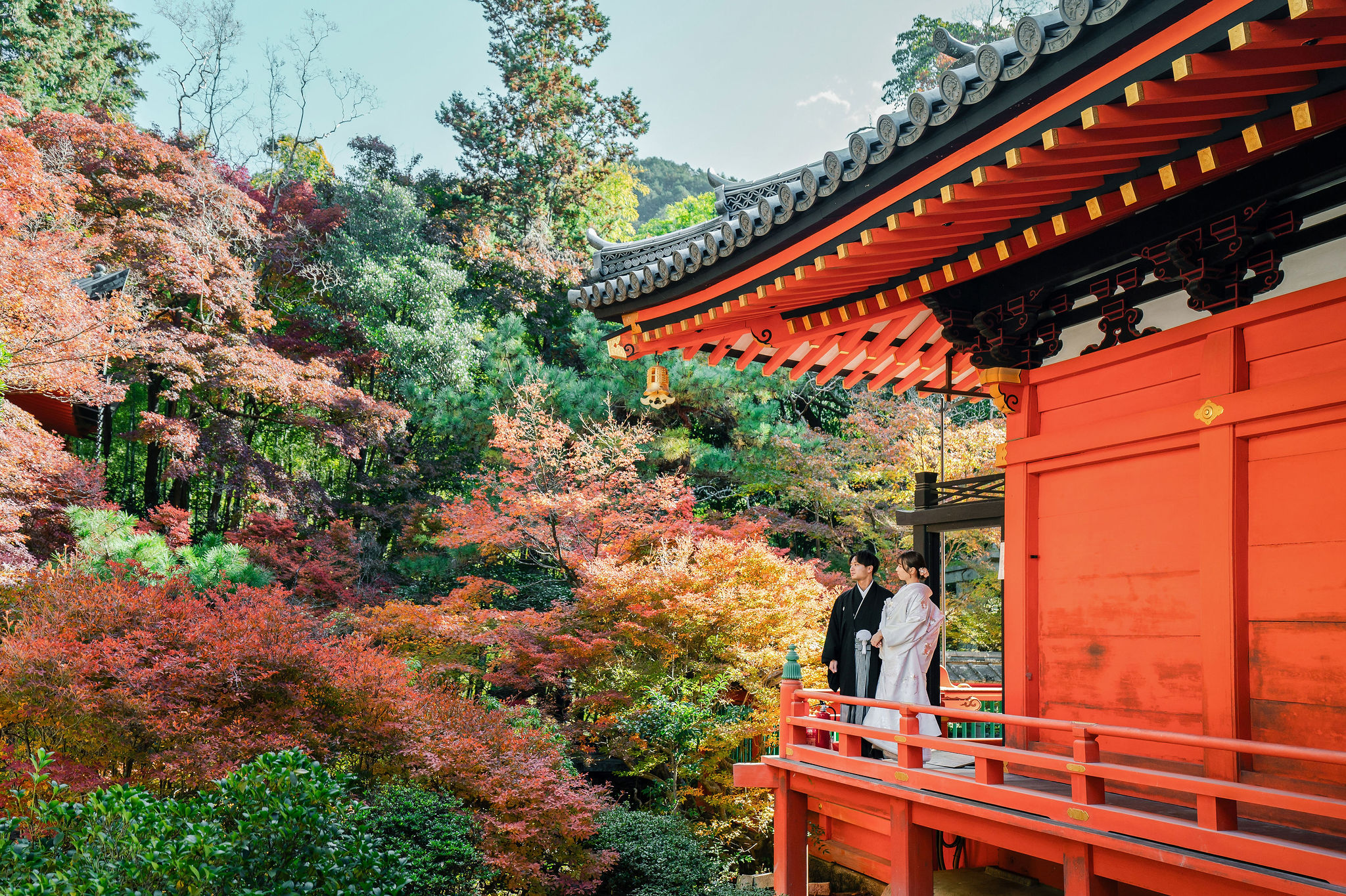 秋の毘沙門堂、紅葉前撮り「朱色の本殿」