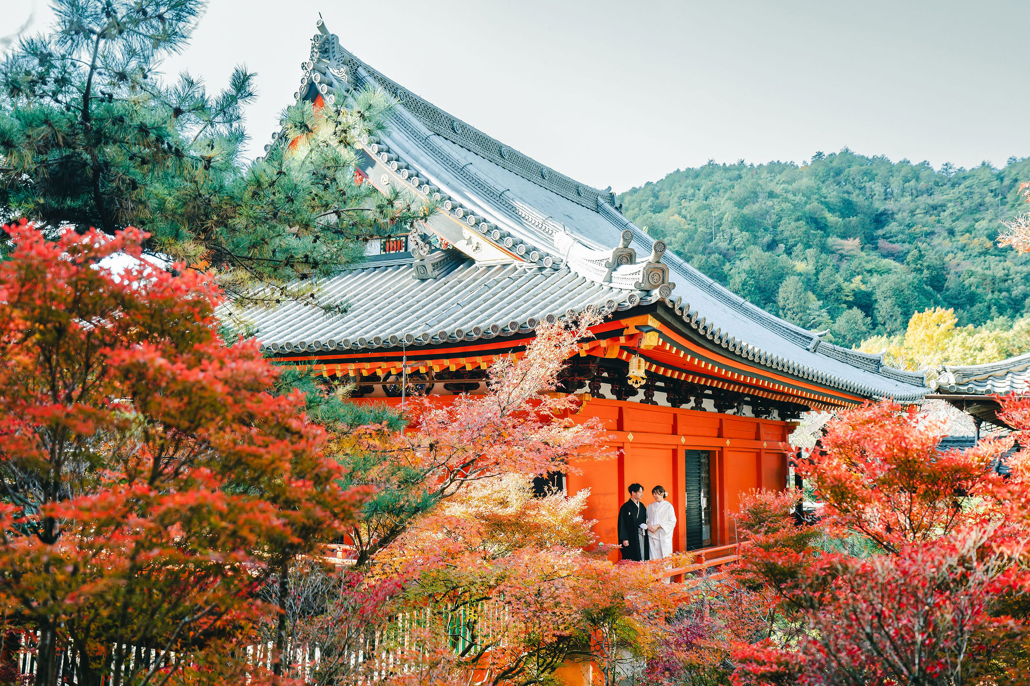 秋の毘沙門堂、紅葉前撮り「朱色の本殿と山」