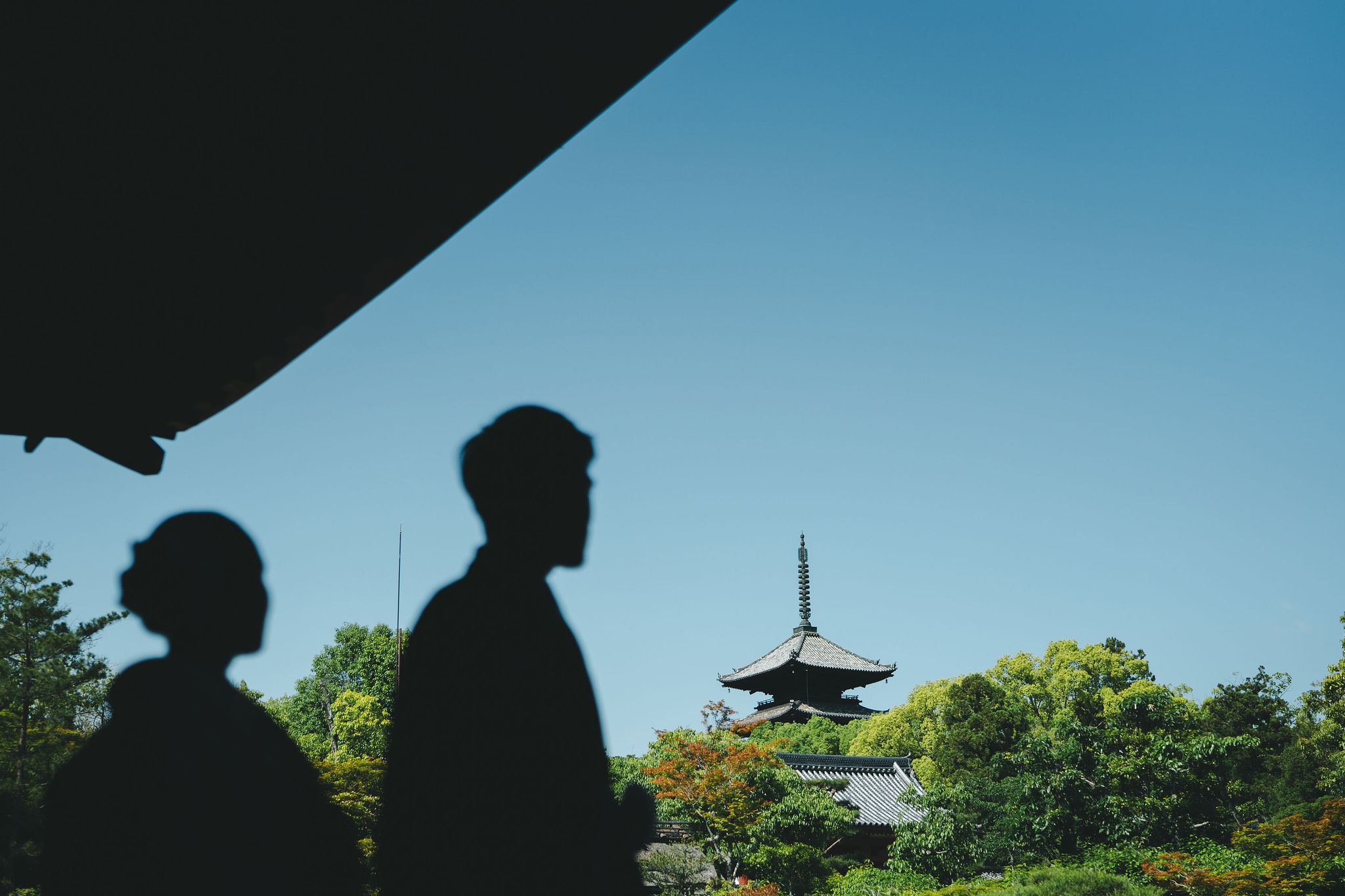 仁和寺でシルエット写真