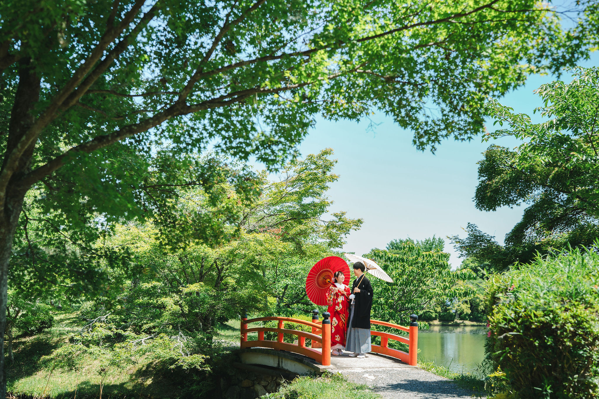 新緑から深緑の季節「大覚寺前撮りイメージ」