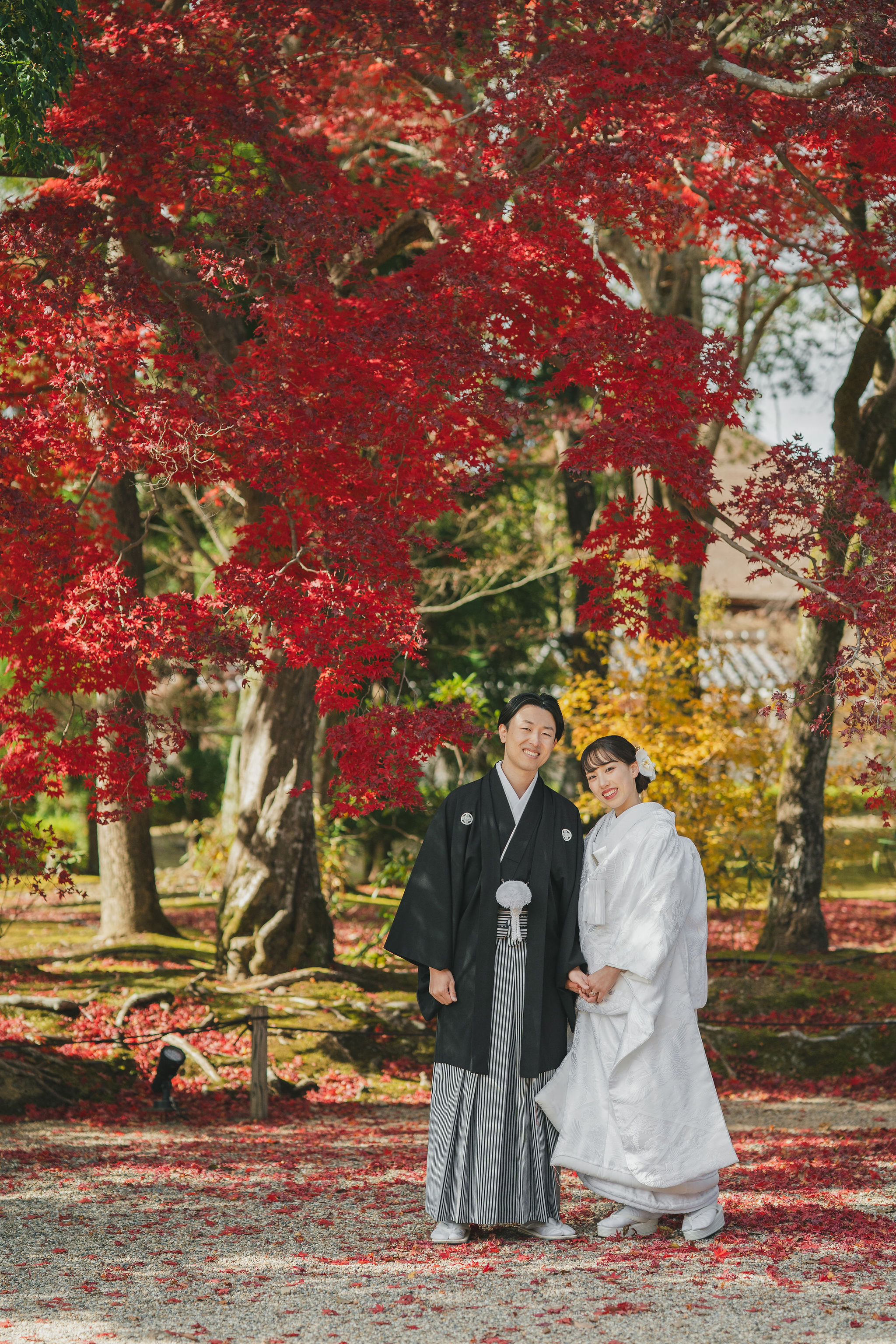 紅葉と