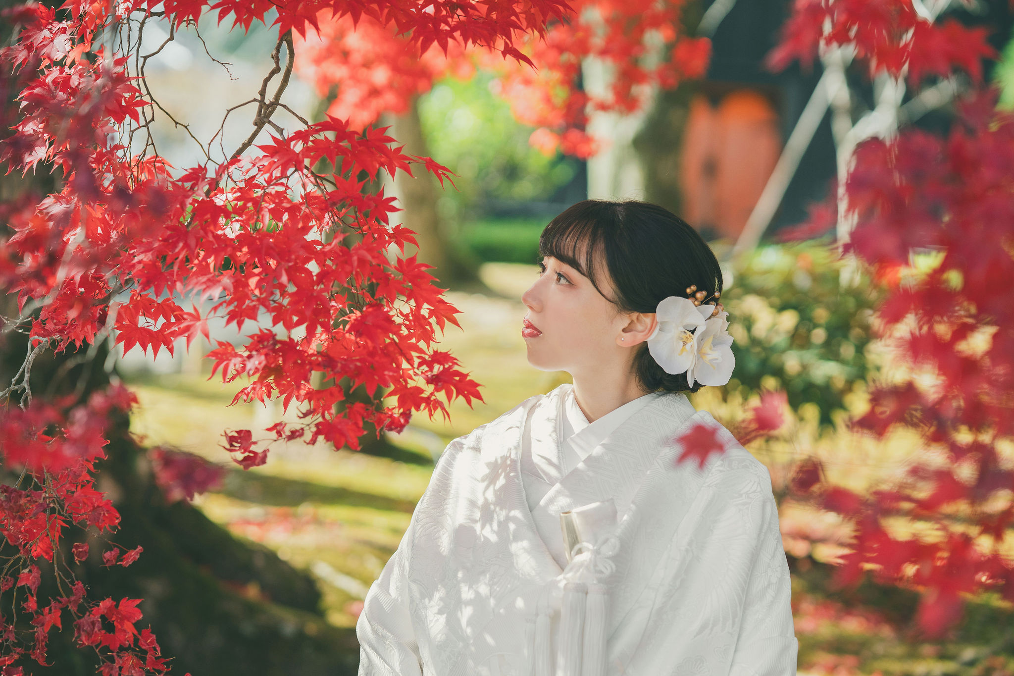 紅葉と花嫁