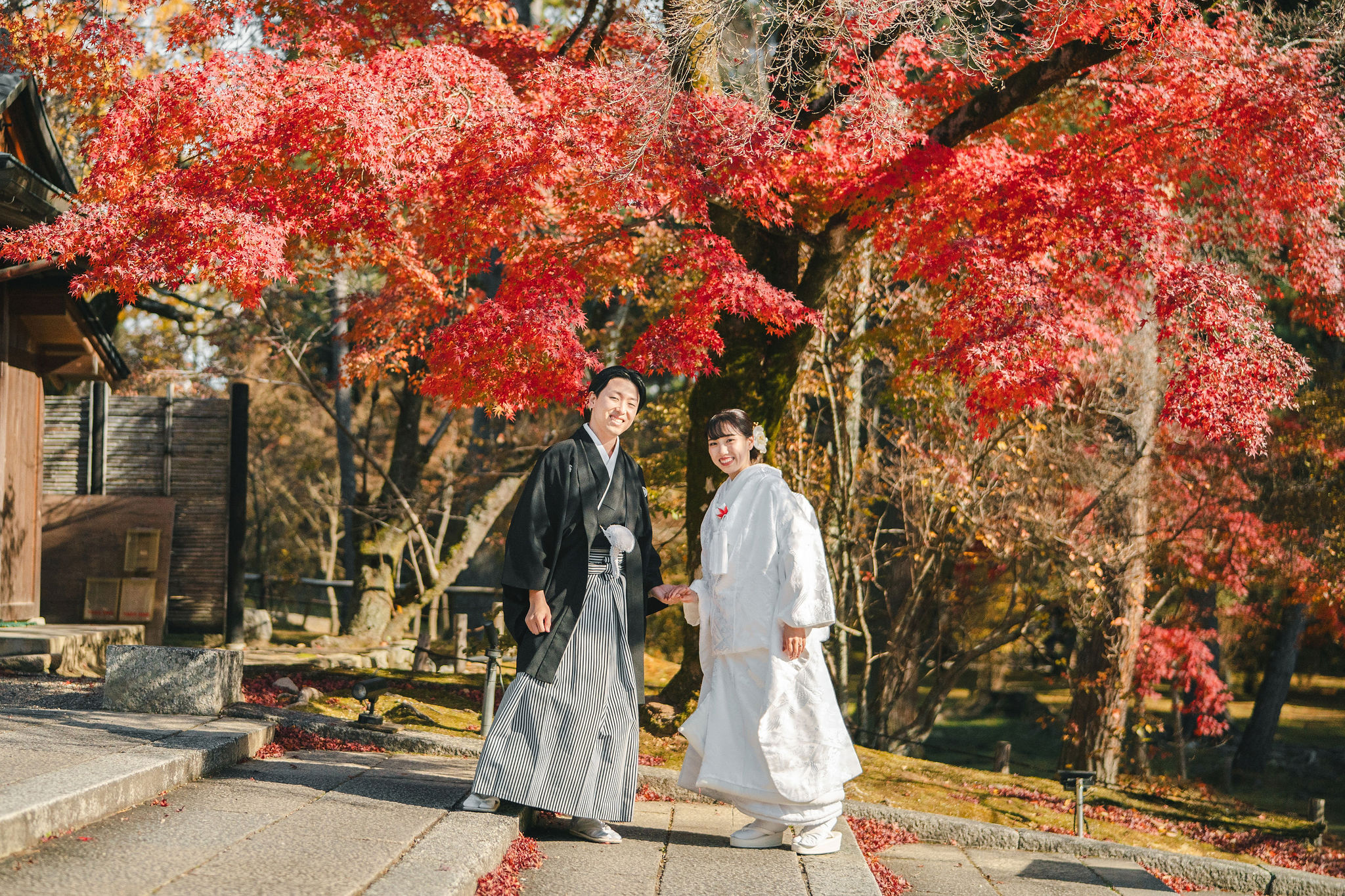 12月上旬の仁和寺フォトウェディング
