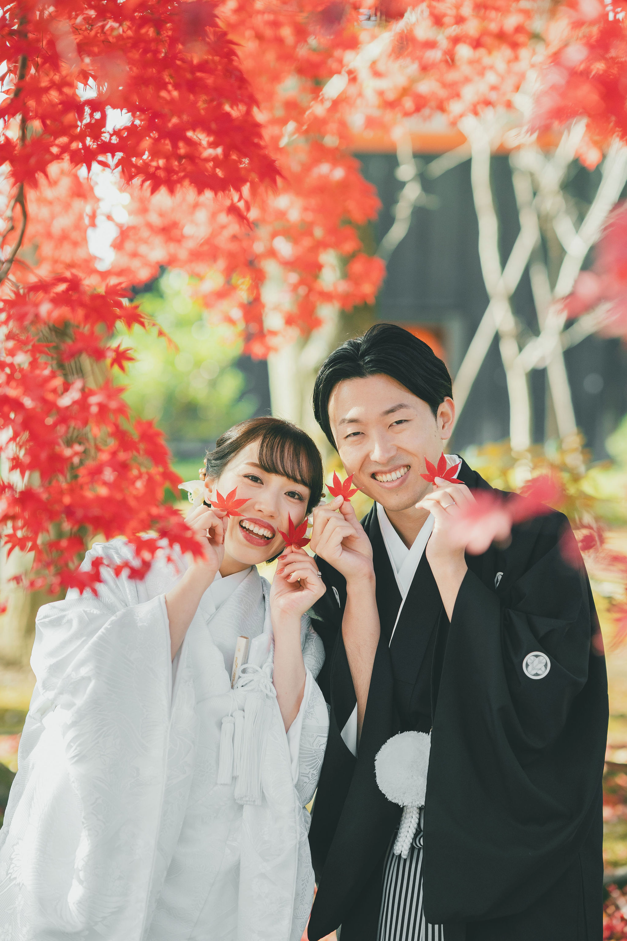 12月上旬の仁和寺フォトウェディング