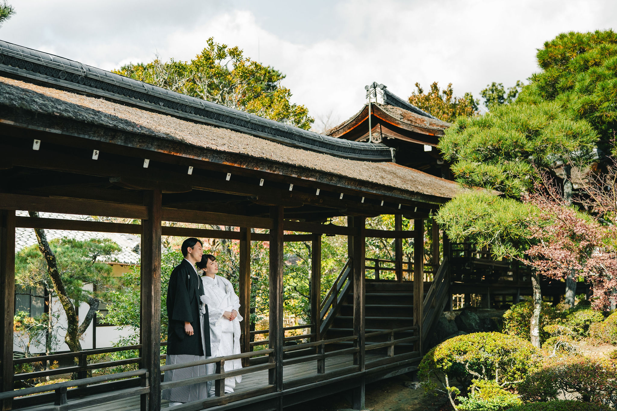 12月上旬の仁和寺フォトウェディング