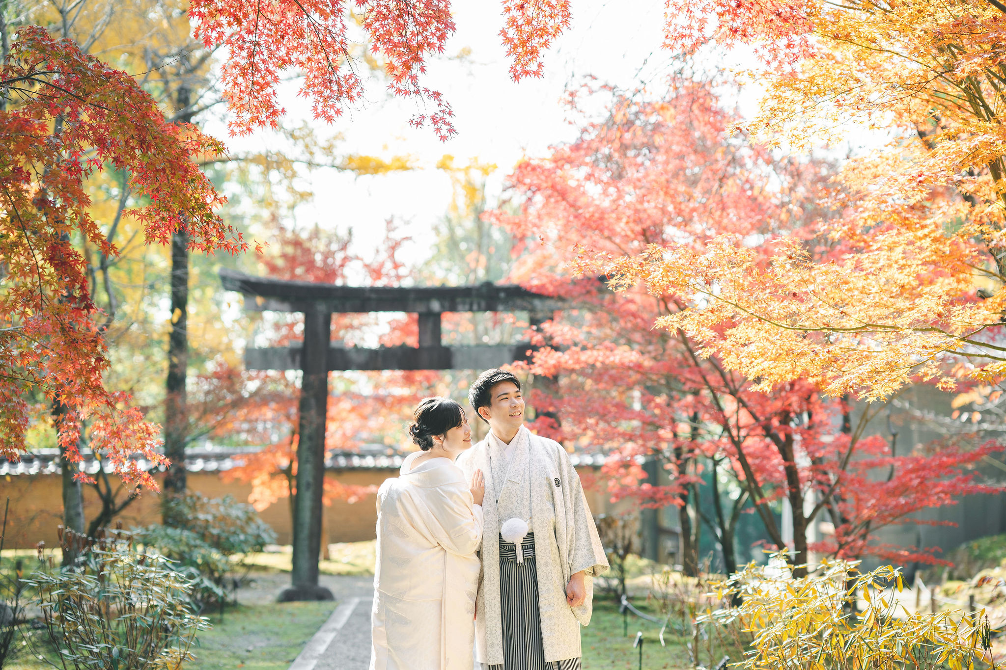 11月後半の仁和寺フォトのイメージ