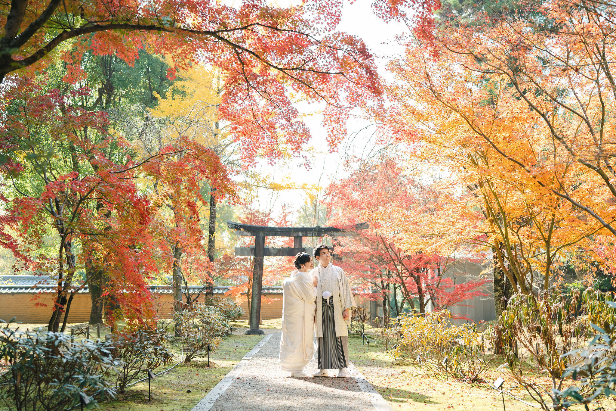 11月後半の仁和寺フォトのイメージ