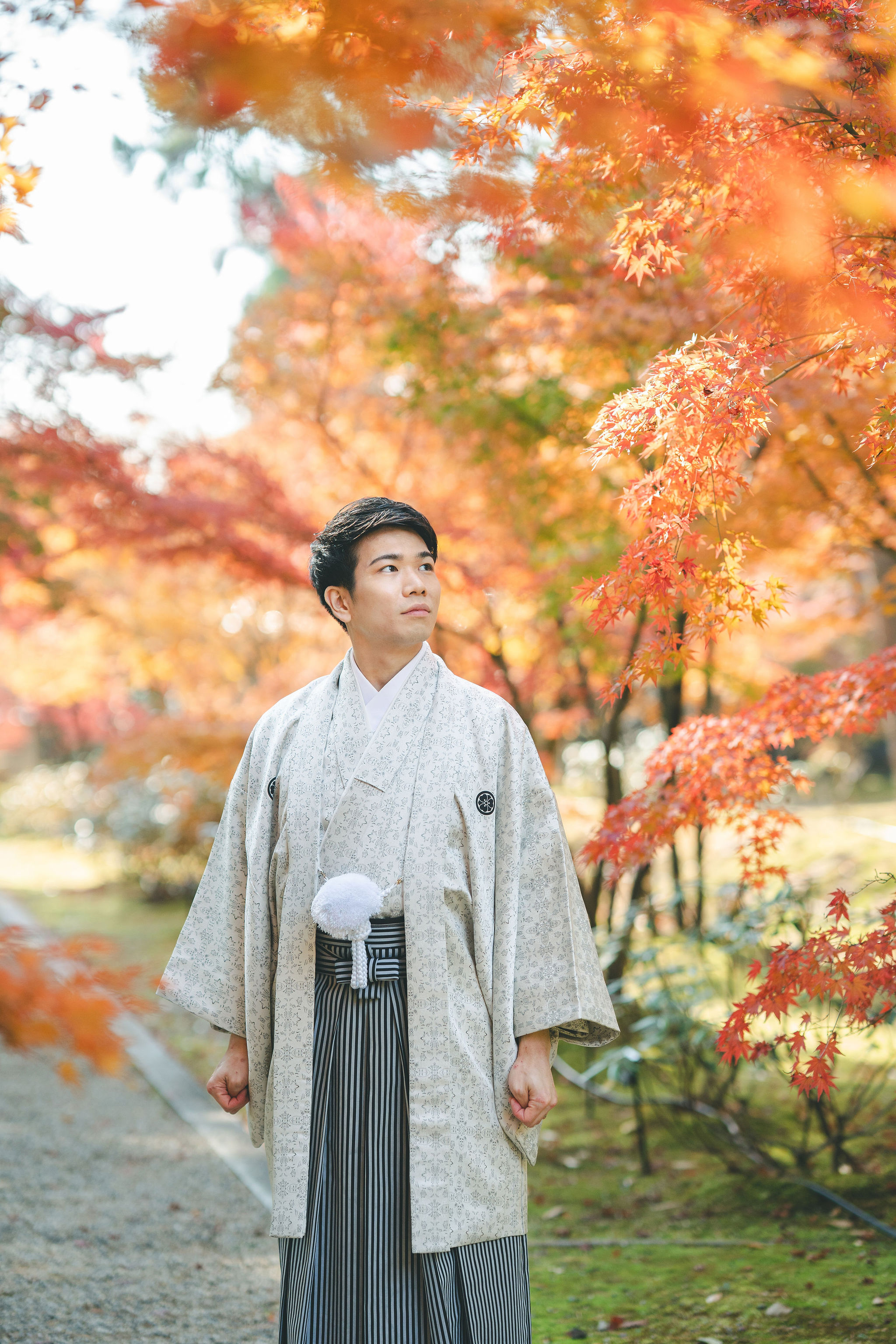 11月後半の仁和寺フォトのイメージ