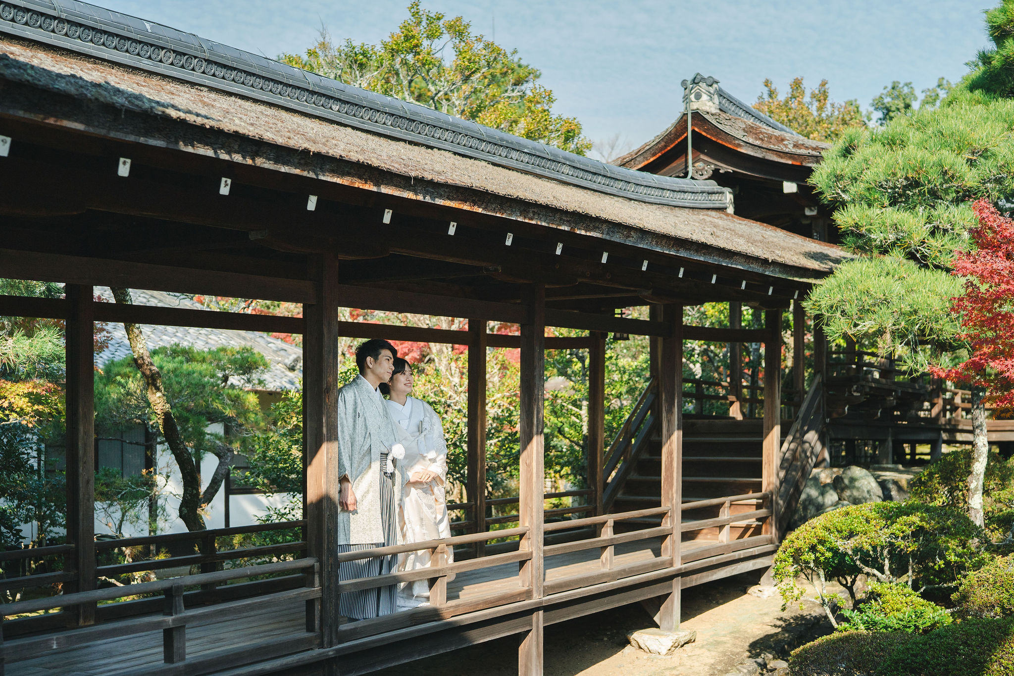 11月後半の仁和寺フォトのイメージ