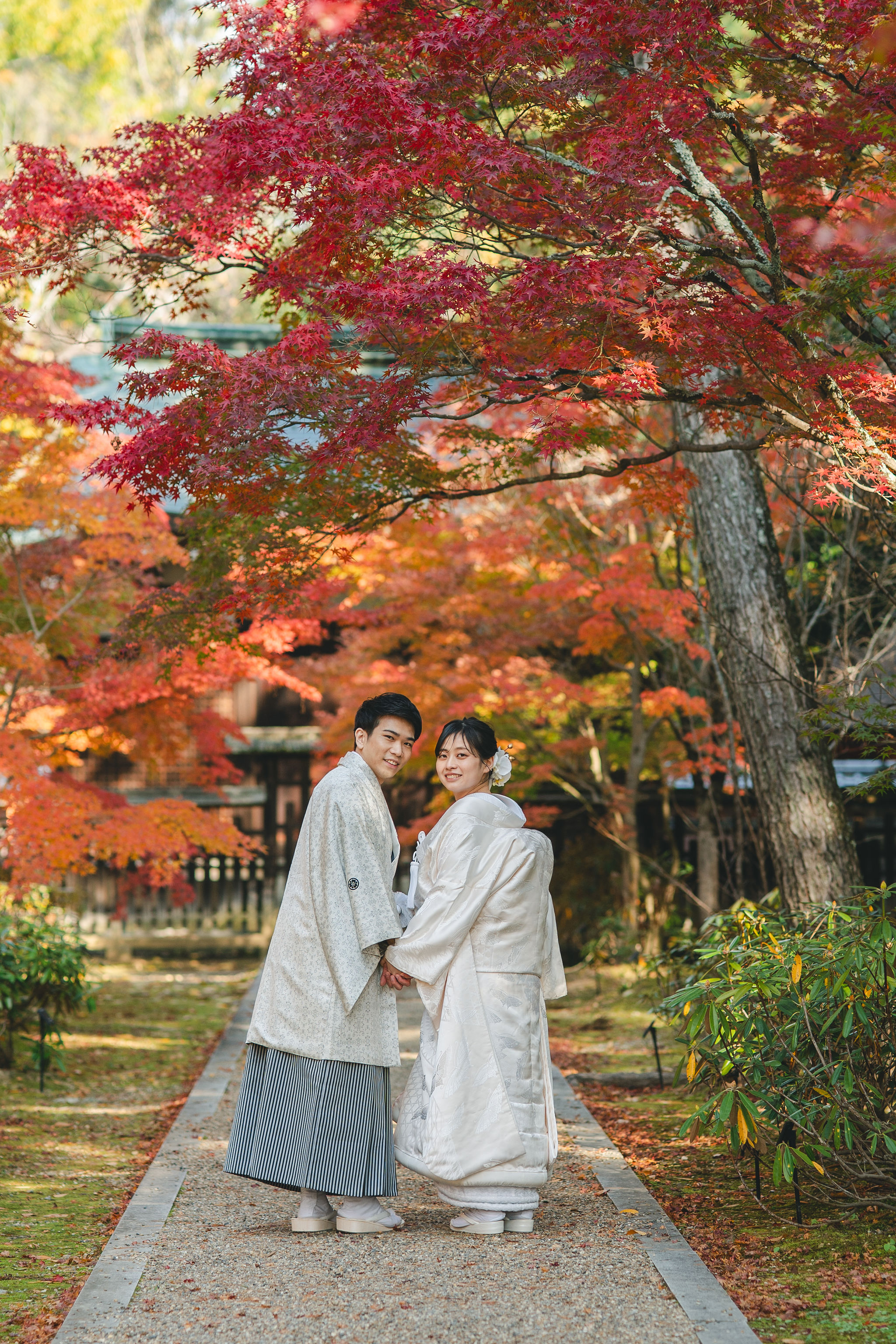 11月後半の仁和寺フォトのイメージ
