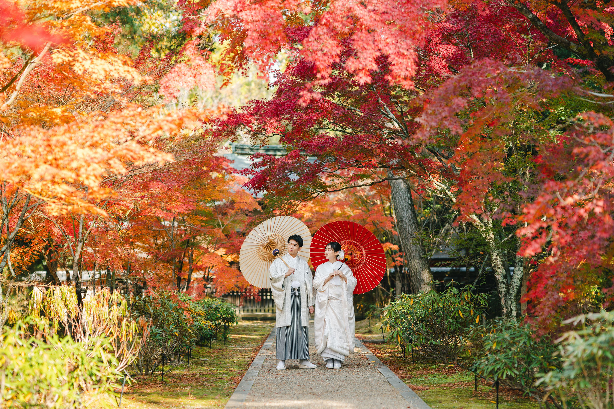 11月後半の仁和寺フォトのイメージ