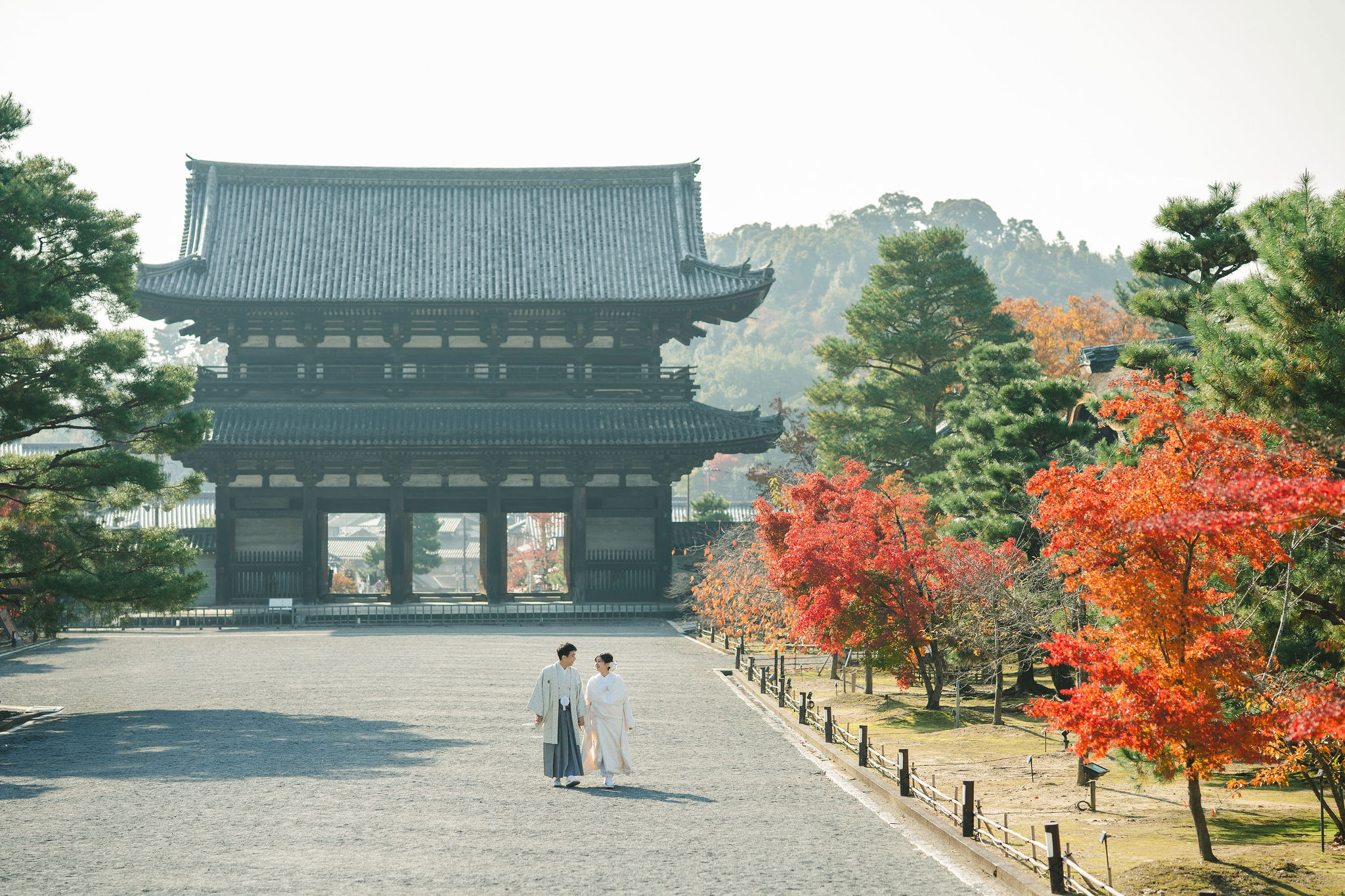 11月後半の仁和寺フォトのイメージ