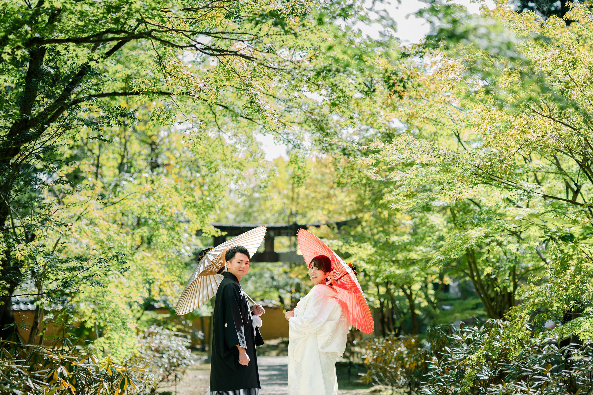 10月の仁和寺(緑がきれい)